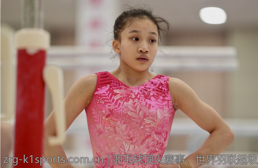 羽毛球顶尖赛事：世界羽联超级系列赛奖金分布秘密